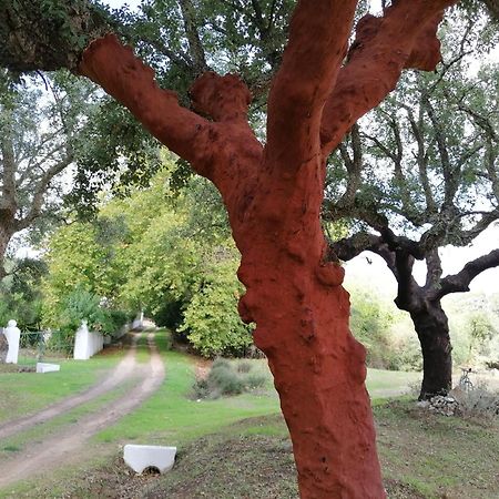 Monte Do Serrado De Baixo Évora Exterior foto